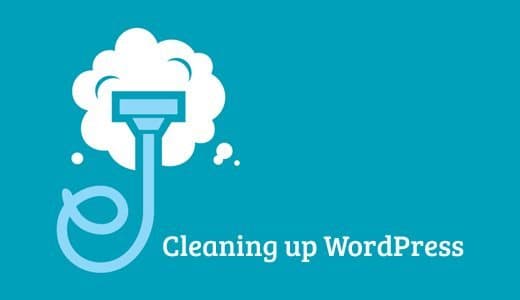 How to Clean a WordPress Database: A Real phpMyAdmin Walkthrough
